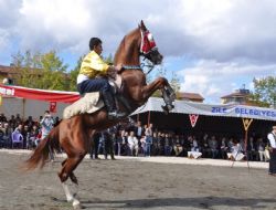Ata sporunda tatlı rekabet